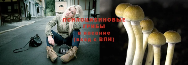 круглые Бронницы