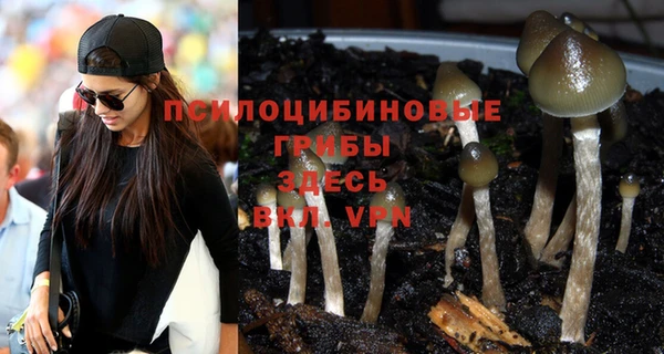 герыч Бугульма